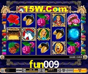 fun009